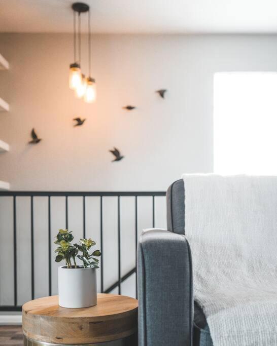 Porchlight Home Central San Diego Free Parking Esterno foto